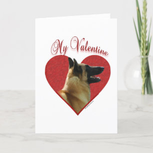 Cartão De Festividades Belgian Malinois My Valentine