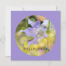 Bellflower com livro decorativo na Lavanda