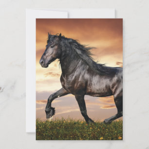 Cartão De Festividades Belo Cavalo Negro