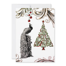 Belo Pavão e Árvore de Natal Flat