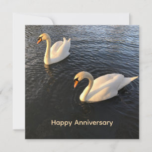 Cartão De Festividades Belos cisnes Aniversário