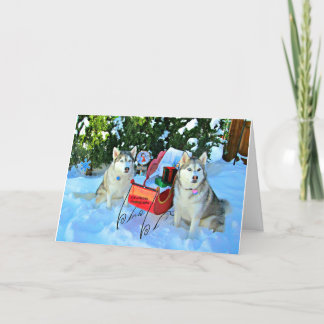 Cartão De Festividades Belos Huskies siberianos na neve