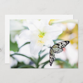 Cartão De Festividades Bênçãos de páscoa 1 John 2:25 Verso de Bíblia