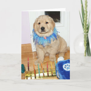 Cartão De Festividades Bênçãos do ouro Retriever Puppy Chanucá