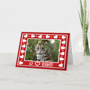 Cartão De Festividades Bengal Cat Valentine Greeting Card & Note Card