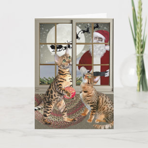 Cartão De Festividades Bengal Cat Watching Santa Cards