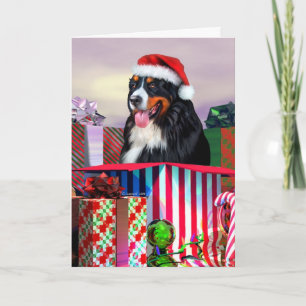 Cartão De Festividades Bernese Mountain Dog Christmas Surprise