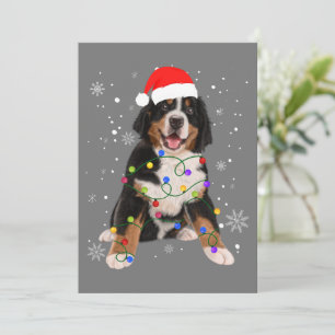 Cartão De Festividades Bernese Mountain Dog Ilumina Fama de Natal
