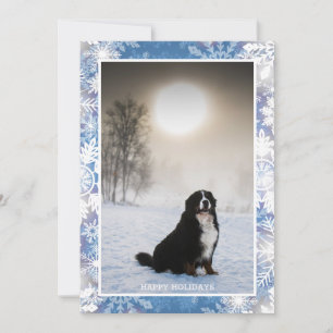 Cartão De Festividades Bernese Mountain Dog In Snow Winter Ver Foto