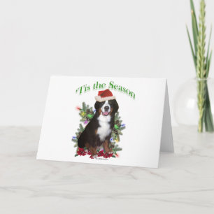 Cartão De Festividades Bernese Mountain Dog "Tis