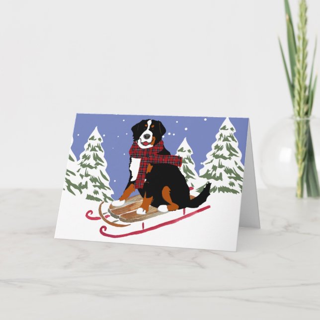 Cartão De Festividades Bernese Mt Dog Sled (Frente)