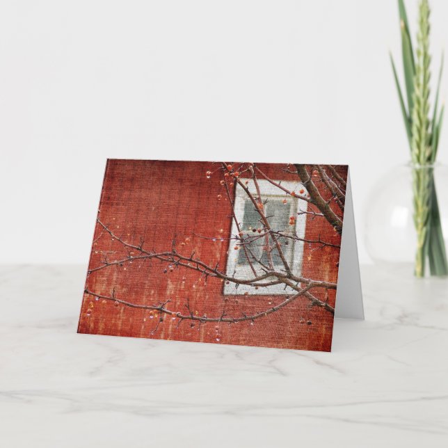 Cartão De Festividades Berries e Barn, Natal (Frente)