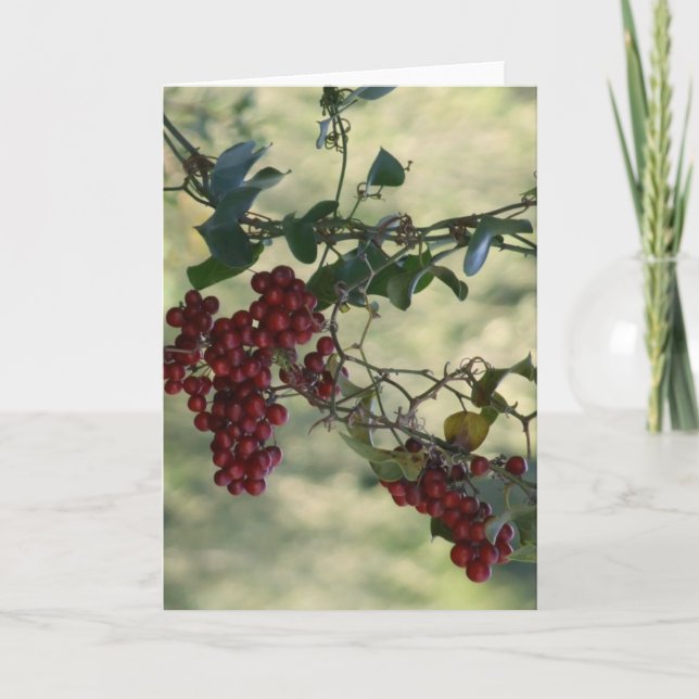 Cartão De Festividades Berry Card (Frente)