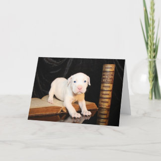 Cartão De Festividades Bíblia velha, filhote de cachorro novo