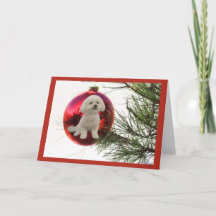 Cartão De Festividades Bichon Frise Christmas Card Ball Hanging