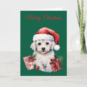 Cartão De Festividades Bichon Frise Fofo no Natal
