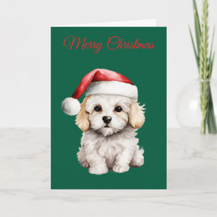 Cartão De Festividades Bichon Frise Fofo no Natal
