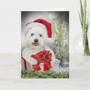 Cartão De Festividades Bichon Frise Merry Christmas