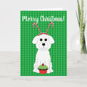 Cartão De Festividades Bichon Frise Merry Christmas Card