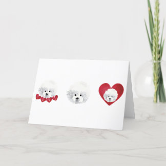 Cartão De Festividades Bichon Frise _ mistura _ 