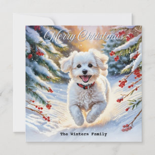 Cartão De Festividades Bichon Frise na neve cachorro fofo Natal de invern