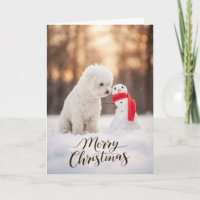 Bichon Frise Papai Noel Homem de Neve