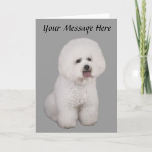 Cartão De Festividades Bichon Frise Precious Greeting Card