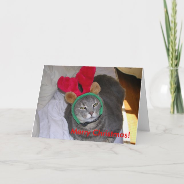 Cartão De Festividades bigfatcat, Feliz Natal! (Frente)