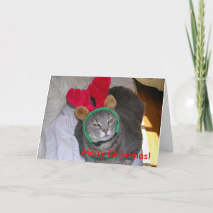 Cartão De Festividades bigfatcat, Merry Christmas!