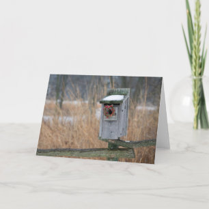Cartão De Festividades Bird, nest box with holiday wreath in winter