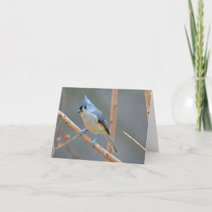Cartão De Festividades Bird Notecard