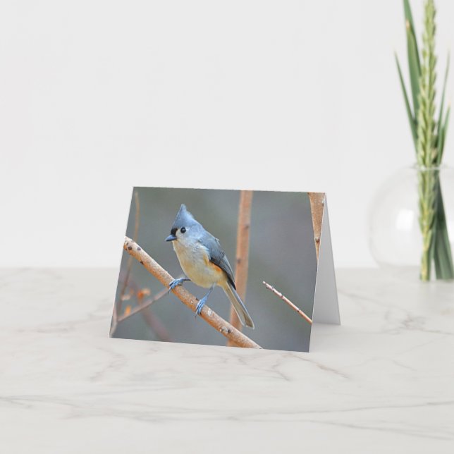 Cartão De Festividades Bird Notecard (Frente)