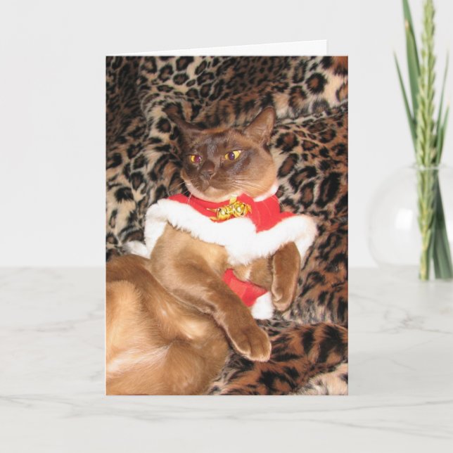 Cartão De Festividades Birmanês 2 do Xmas de FPG - (Frente)