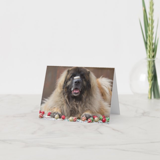 Cartão De Festividades biscoito feliz Leonberger (Frente)