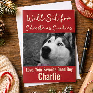 Cartão De Festividades Biscoitos de Natal de Cachorro Engraçado Humor Fot