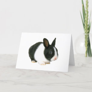 Cartão De Festividades Black and White Bunny Rabbit Easter Card