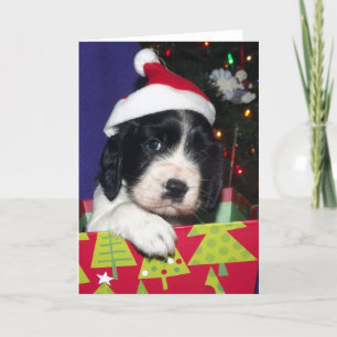 Cartão De Festividades Black and White English Springer Spaniel Christma