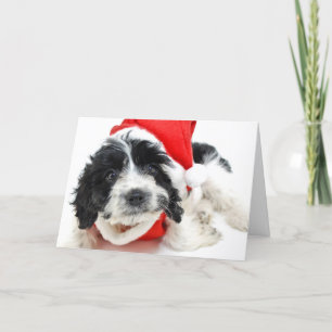 Cartão De Festividades Black and white puppy wearing Santa outfit