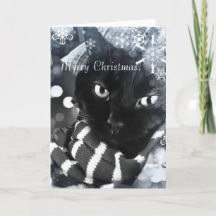 Cartão De Festividades Black Cat with Snowflakes Christmas Card