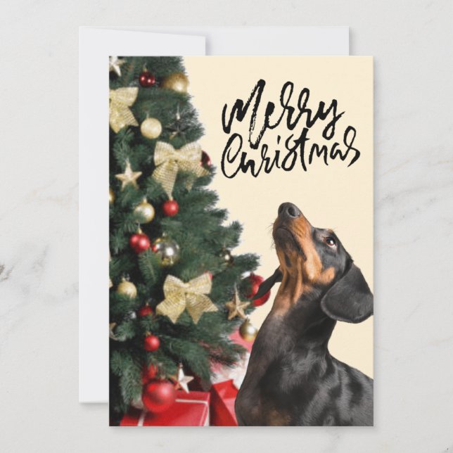 Cartão De Festividades Black Dachshund Procurando Árvore De Natal Xmas (Frente)
