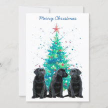 Black Lab Feliz Natal Labrador Cachorro Bonito