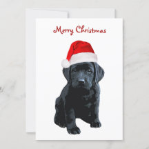 Black Lab Feliz Natal Labrador Cachorro de Papais 
