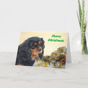 Cartão De Festividades Black & Tan Christmas Cavalier