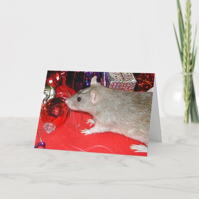Cartão De Festividades Blaize e os Baubles 2 (Frente)