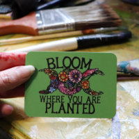 Bloom onde você está plantado