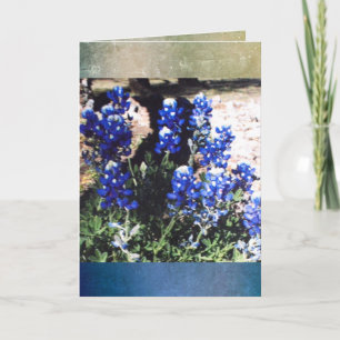 Cartão De Festividades Blue Bonnet Blank Greeting Card
