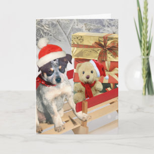 Cartão De Festividades Blue Heeler Winter Scencards