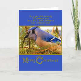 Cartão De Festividades Blue Jay no alimentador de cedros w Fir Closeup