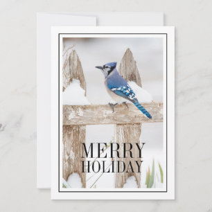 Cartão De Festividades Blue Jay Perked on Snowy Fence