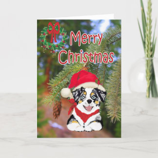 Cartão De Festividades Blue Merle Christmas Aussie Cartoon Puppy